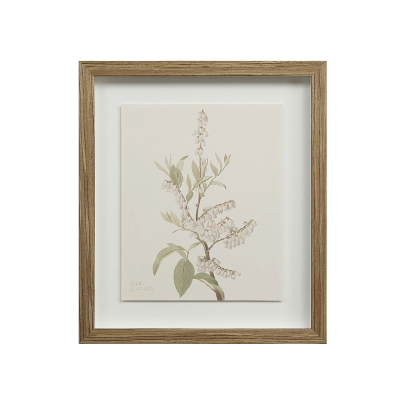 Corolla VII [13" x 15" Framed Art Print]