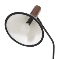 Casey Task Lamp