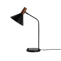 Casey Task Lamp
