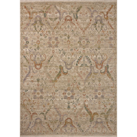 Reign REN-06 Rug [Fog/Multi]