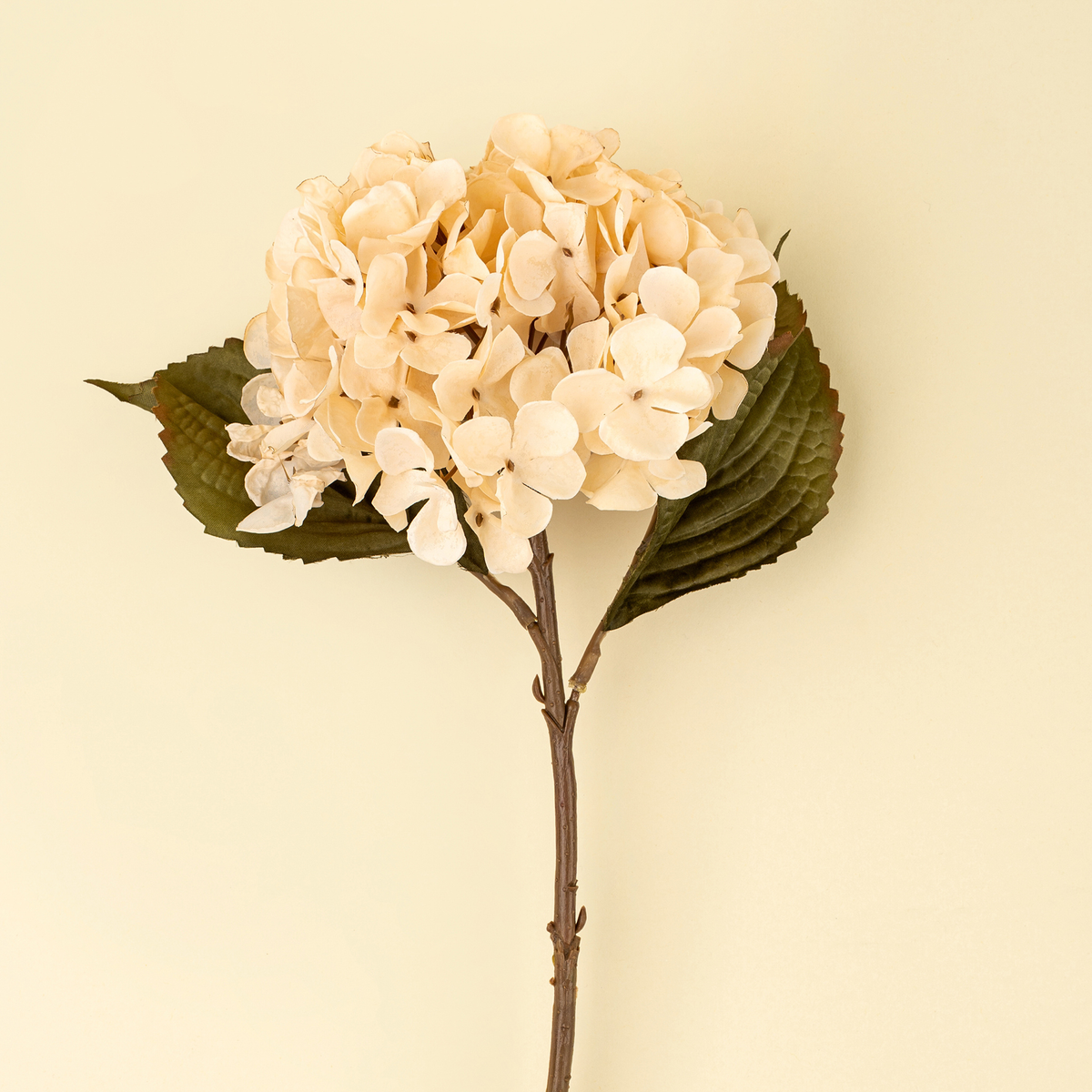 Hydrangea Floral Stem [Cream]