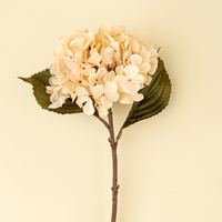 Hydrangea Floral Stem [Cream]