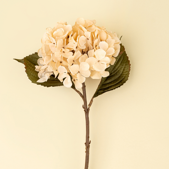 Hydrangea Floral Stem [Cream]