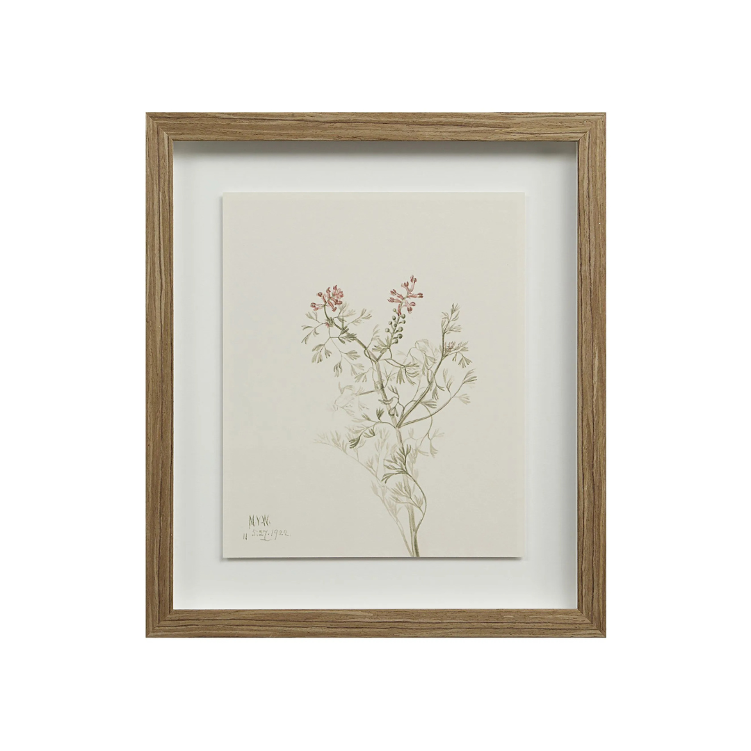 Corolla III [13" x 15" Framed Art Print]