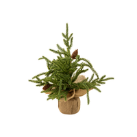 Winterwood 9" Tabletop Tree