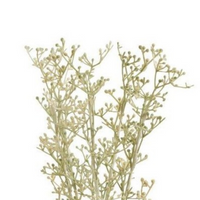 Wild Grass Artificial Stem