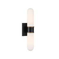Capsule 2 Light Sconce