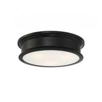 Watkins 3 Light Ceiling Light