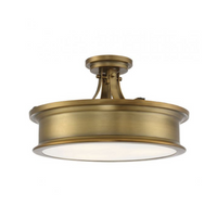 Watkins 3 Light Ceiling Light