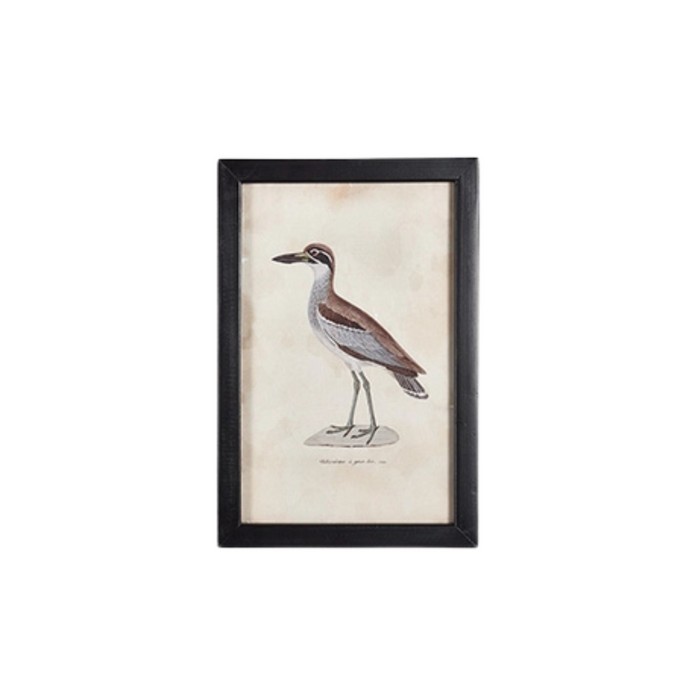 Waterfowl VI Small Framed Print