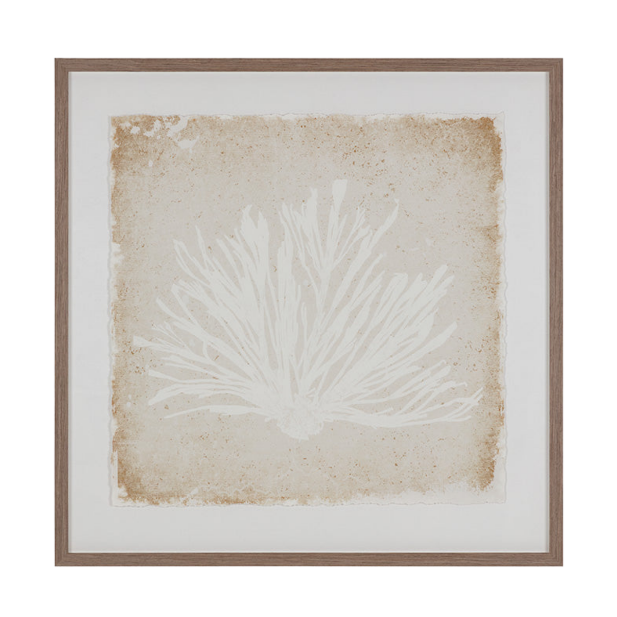 Sandy Flora [40" x 40"]