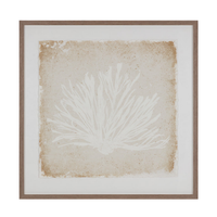Sandy Flora [40" x 40"]