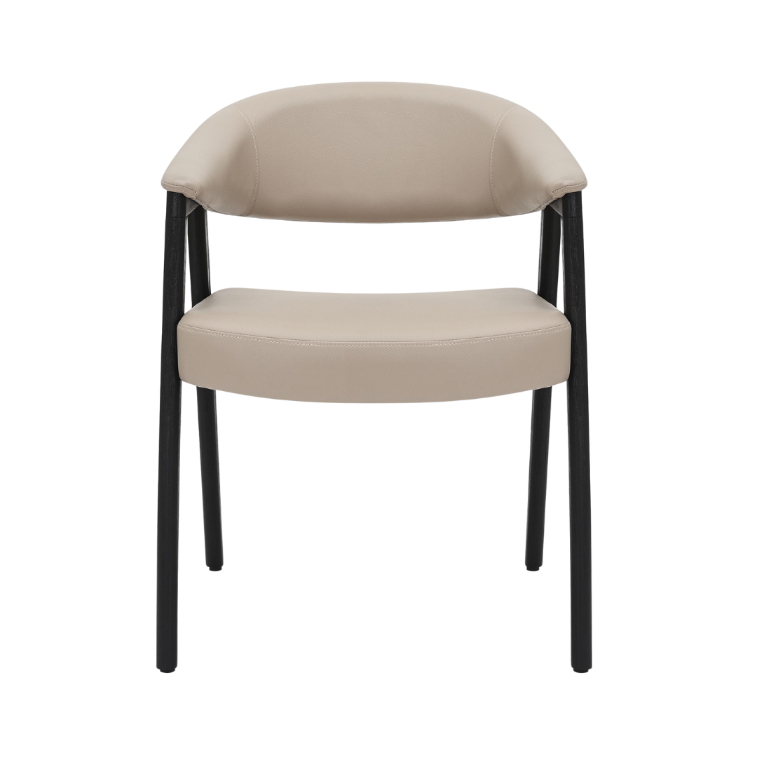 Bexley Dining Armchair [Set of 2]