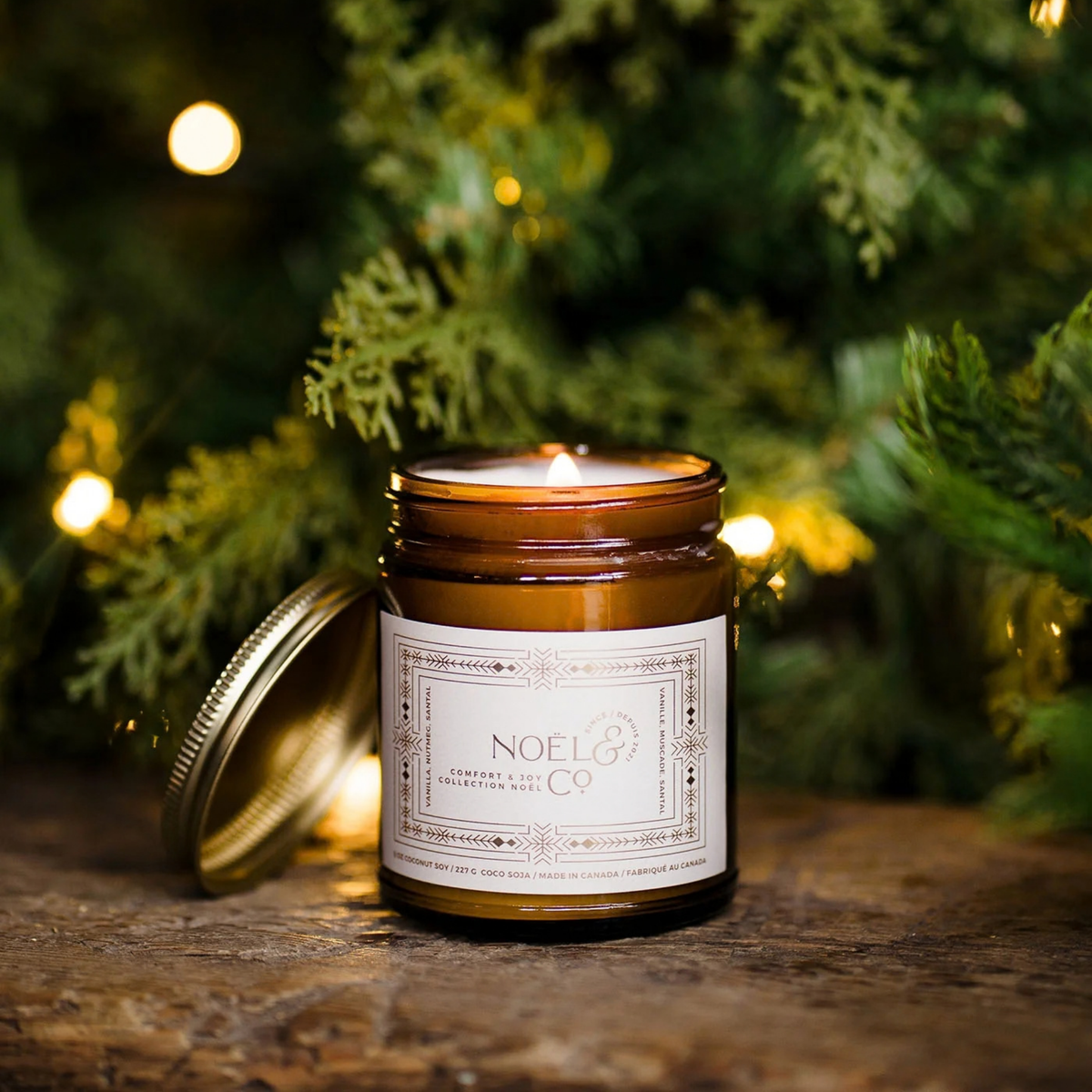 Noel & Co. - Comfort and Joy