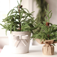 Winterwood 9" Tabletop Tree
