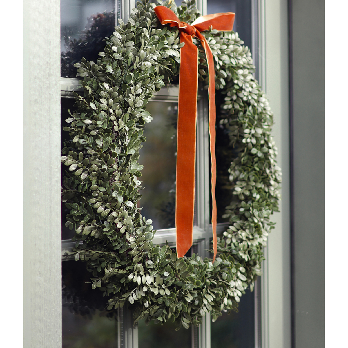Boxwood 21" Wreath