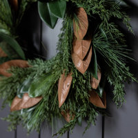 Magnolia Norfolk Cypress Mixed Wreath [Real Touch - 24"]