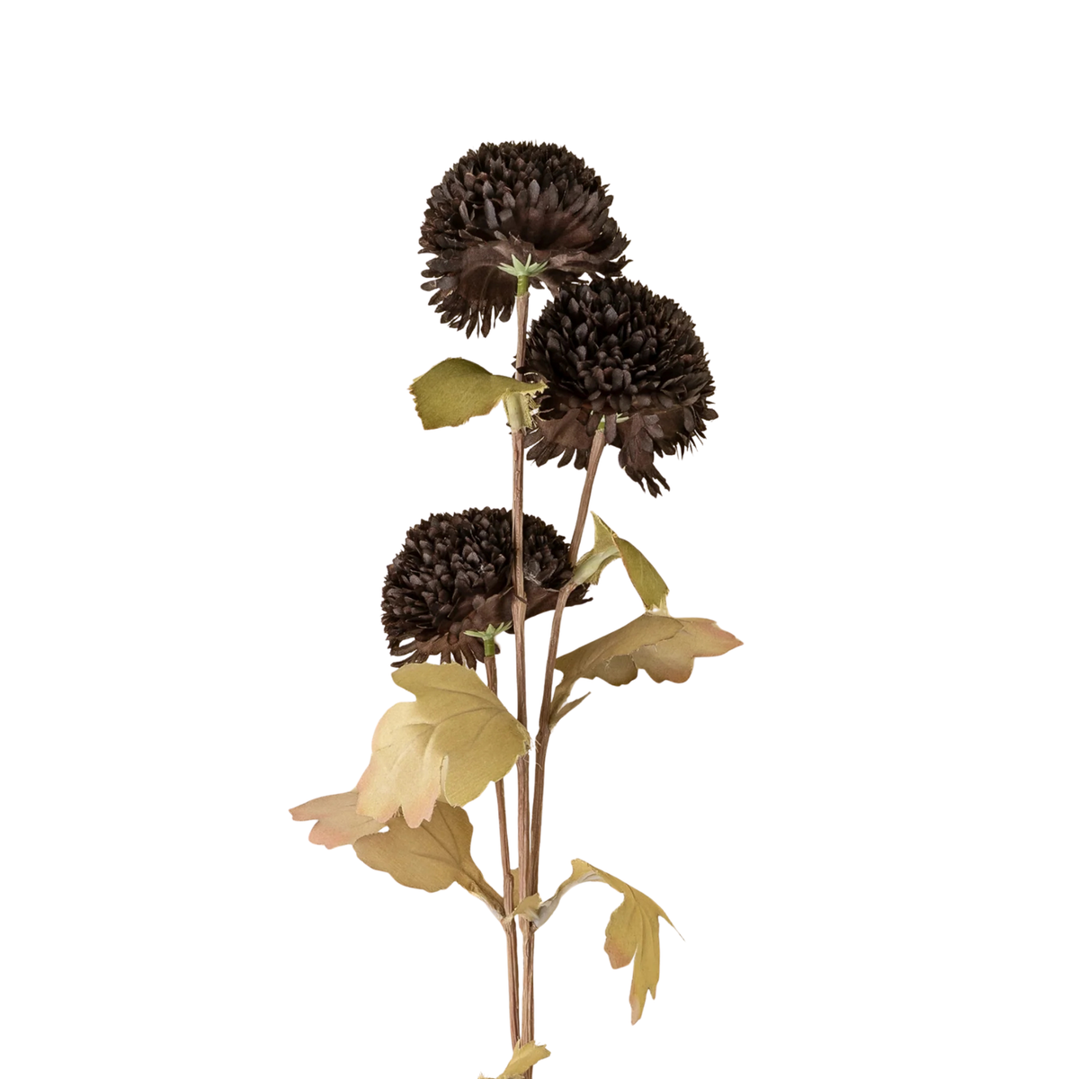 Pom Pom Floral Spray [Midnight]