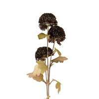 Pom Pom Floral Spray [Midnight]