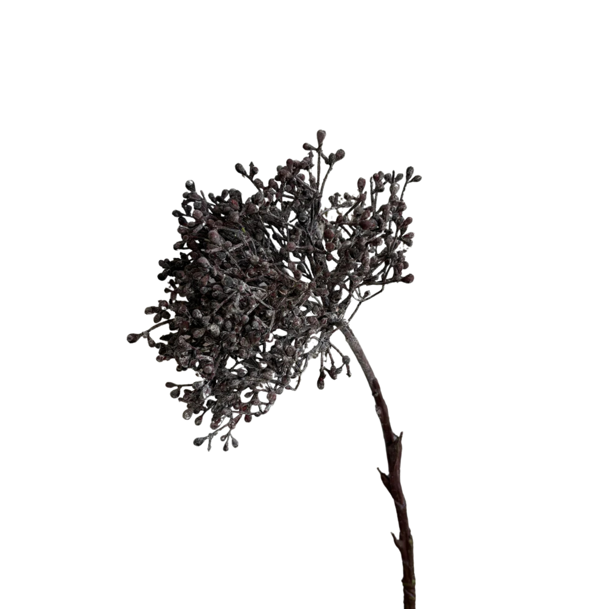 Viburnum Berry Stem [Deep Purple]