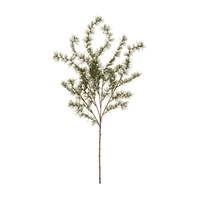 Evergreen Larch Sprig