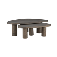 Zuri Nesting Coffee Table Set