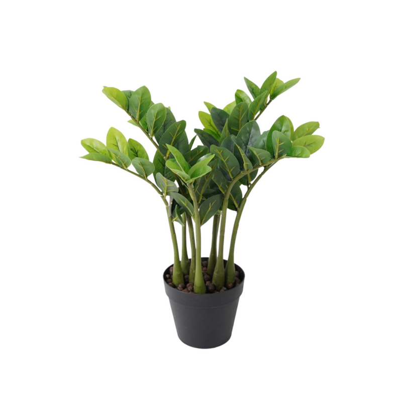 Zanzibar Potted Plant 20"