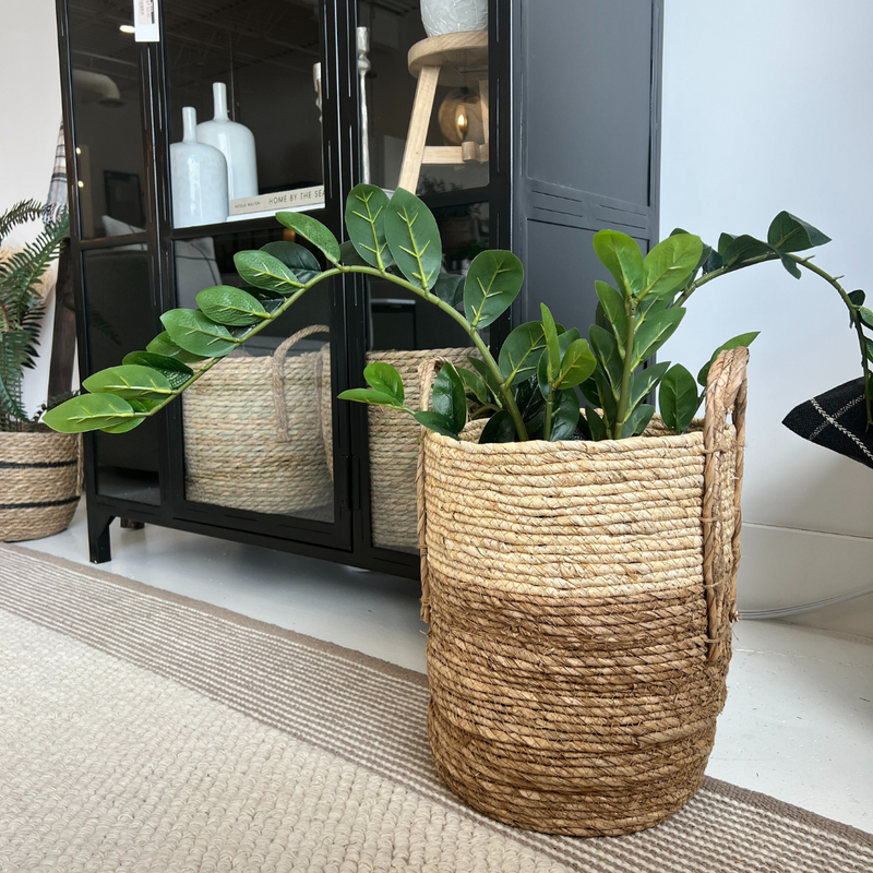 Zanzibar Potted Plant 31.5"