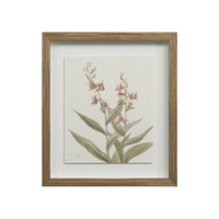 Corolla VI [13" x 15" Framed Art Print]