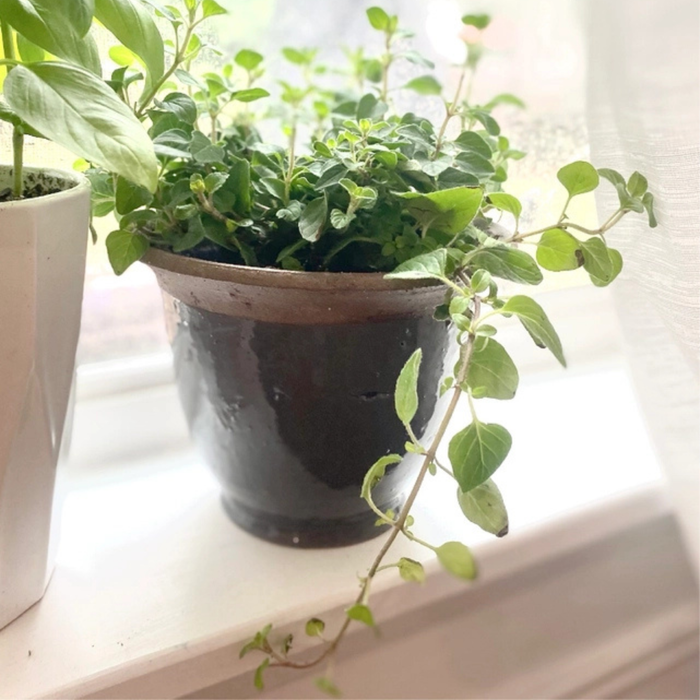 Grey Ceramic Clay Planter