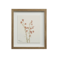 Corolla II [13" x 15" Framed Art Print]