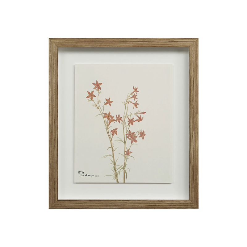 Corolla II [13" x 15" Framed Art Print]