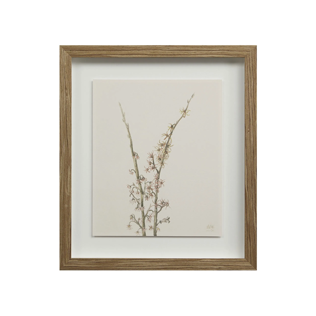 Corolla VIII [13" x 15" Framed Art Print]