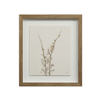 Corolla VIII [13" x 15" Framed Art Print]