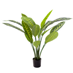3' Green Plant