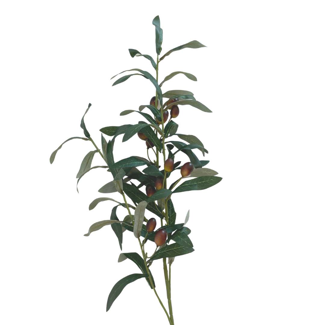 Olive Branch Stem – Lane & Co.