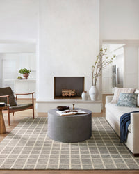 Polly POL-05 (CJ) Slate/Ivory Rug