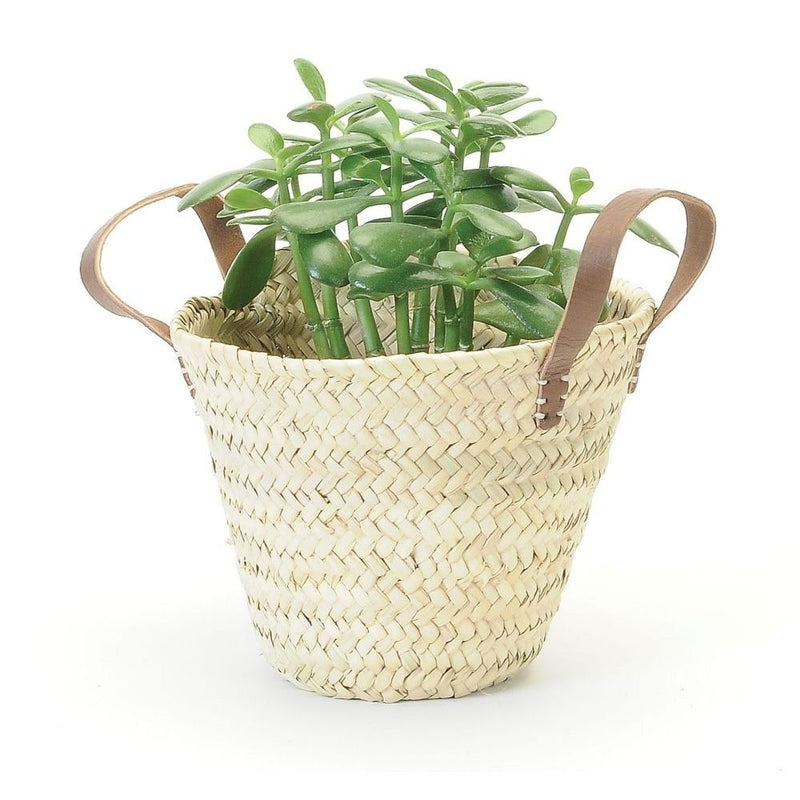 SALE: Straw Planter with Leather Handles