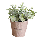 Garden Succulent