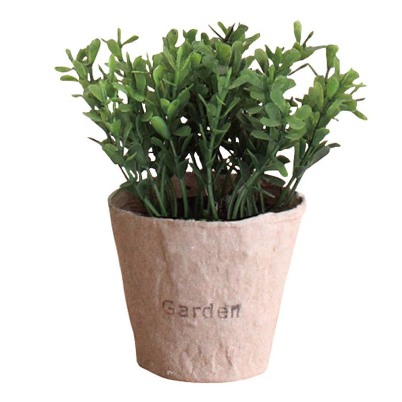Garden Potted Herb