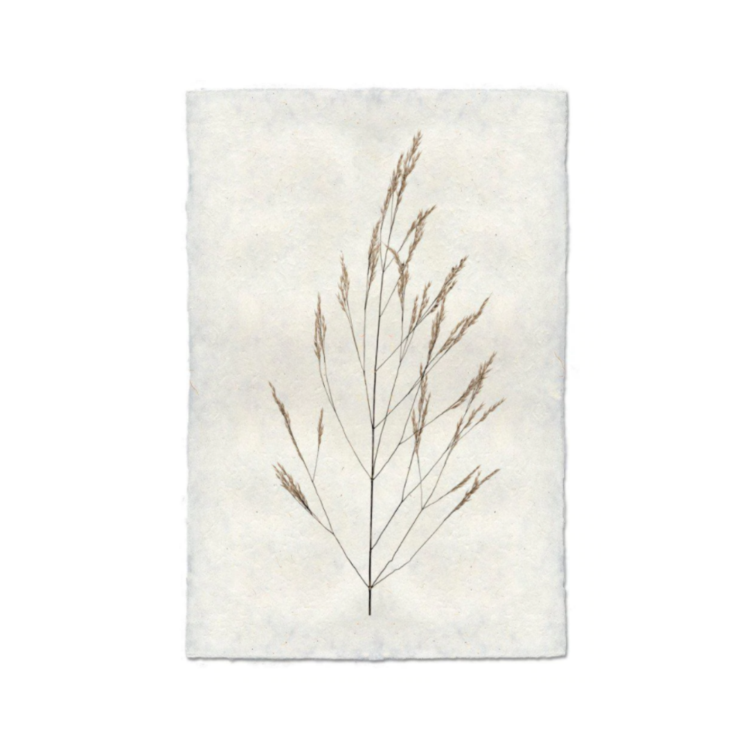 Wheat Form Print