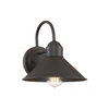 1-Light Outdoor Wall Lantern Oil Rubbed Bronze