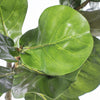 Artificial Fiddle Leaf Fig Tree 63"