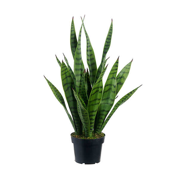 Green Artificial Potted Snake Plant 24"