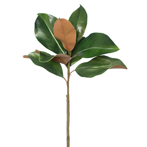Artificial Magnolia Leaf  27''