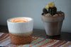 Abe Planter