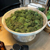 Saucer Planter